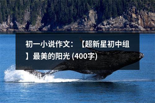 初一小說作文：【超新星初中組】最美的陽光 (400字)