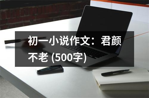 初一小說作文：君顏不老 (500字)