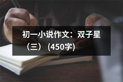 初一小說作文：雙子星（三） (450字)