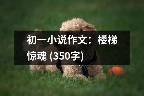 初一小說作文：樓梯驚魂 (350字)