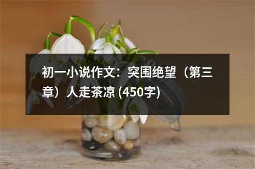 初一小說(shuō)作文：突圍絕望（第三章）人走茶涼 (450字)