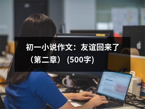 初一小說(shuō)作文：友誼回來(lái)了（第二章） (500字)