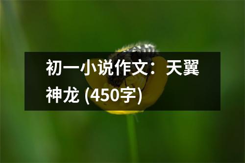 初一小說作文：天翼神龍 (450字)