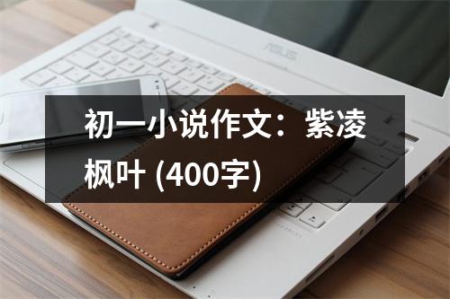 初一小說作文：紫凌楓葉 (400字)