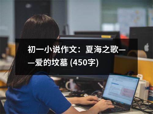 初一小說作文：夏海之歌——愛的墳?zāi)?(450字)