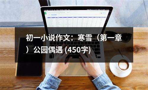 初一小說作文：寒雪（第一章）公園偶遇 (450字)