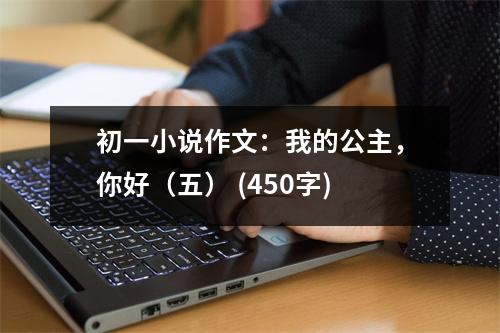 初一小說作文：我的公主，你好（五） (450字)