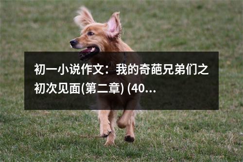 初一小說作文：我的奇葩兄弟們之初次見面(第二章) (400字)