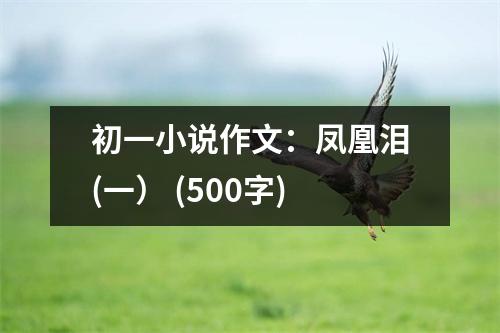 初一小說(shuō)作文：鳳凰淚(一） (500字)