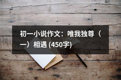初一小說(shuō)作文：唯我獨(dú)尊（一）相遇 (450字)