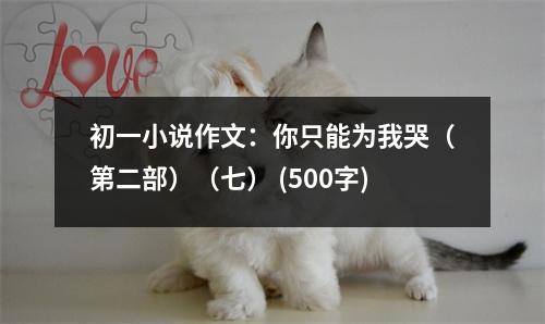 初一小說(shuō)作文：你只能為我哭（第二部）（七） (500字)
