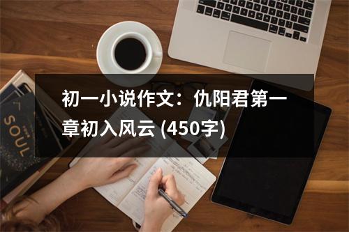 初一小說作文：仇陽君第一章初入風(fēng)云 (450字)