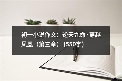初一小說(shuō)作文：逆天九命·穿越鳳凰（第三章） (550字)