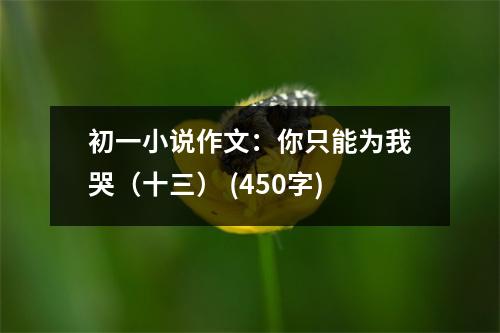 初一小說(shuō)作文：你只能為我哭（十三） (450字)