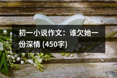 初一小說(shuō)作文：誰(shuí)欠她一份深情 (450字)