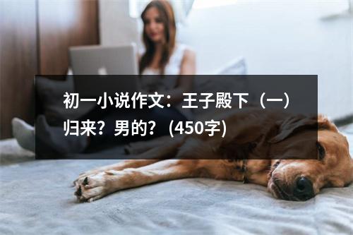 初一小說(shuō)作文：王子殿下（一）歸來(lái)？男的？ (450字)