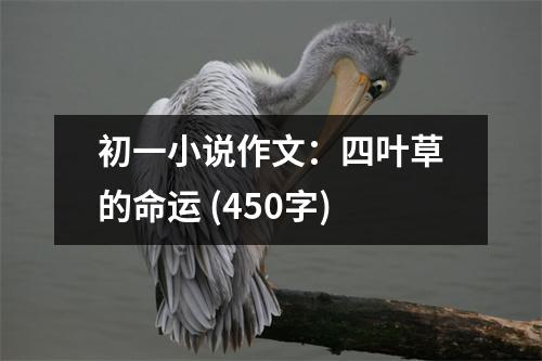 初一小說(shuō)作文：四葉草的命運(yùn) (450字)
