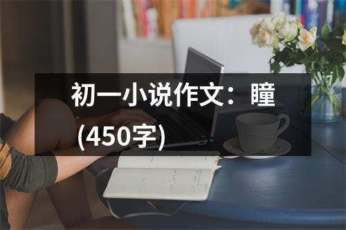 初一小說(shuō)作文：瞳 (450字)