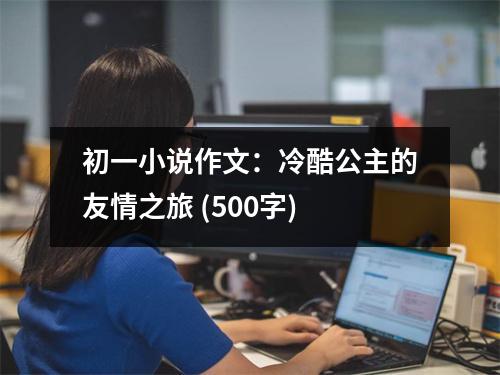 初一小說(shuō)作文：冷酷公主的友情之旅 (500字)