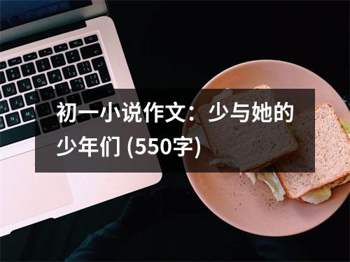 初一小說(shuō)作文：少與她的少年們 (550字)