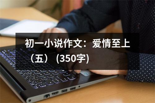 初一小說作文：愛情至上（五） (350字)