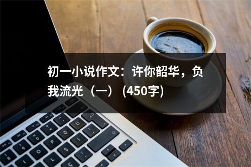 初一小說作文：許你韶華，負(fù)我流光（一） (450字)