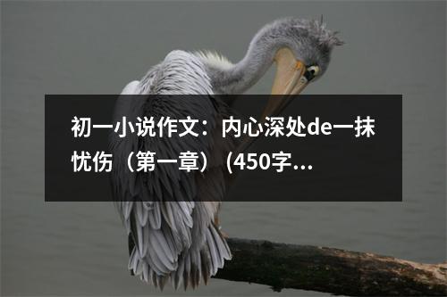 初一小說作文：內(nèi)心深處de一抹憂傷（第一章） (450字)