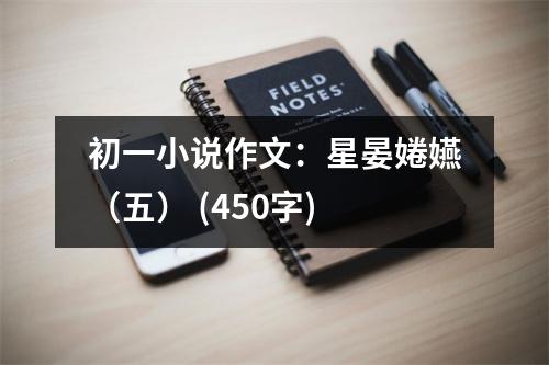 初一小說作文：星晏婘嬿（五） (450字)