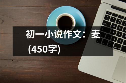 初一小說作文：麥 (450字)