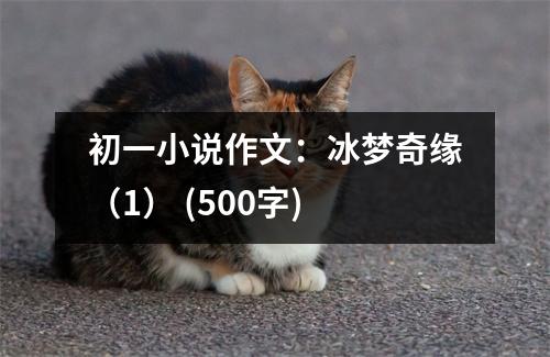 初一小說作文：冰夢奇緣（1） (500字)