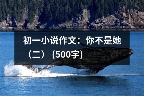 初一小說作文：你不是她（二） (500字)