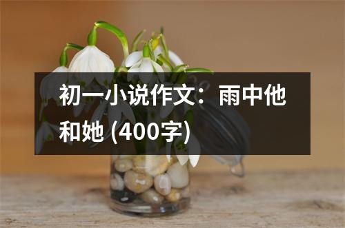初一小說作文：雨中他和她 (400字)