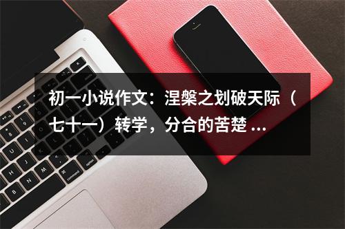 初一小說作文：涅槃之劃破天際（七十一）轉(zhuǎn)學(xué)，分合的苦楚 (450字)