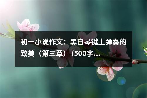 初一小說作文：黑白琴鍵上彈奏的致美（第三章） (500字)