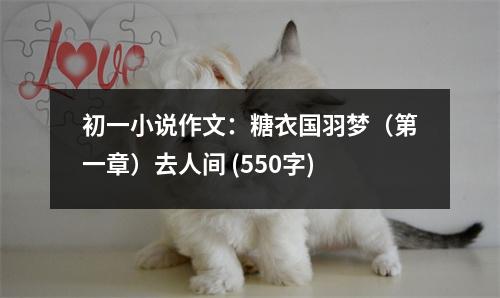初一小說作文：糖衣國(guó)羽夢(mèng)（第一章）去人間 (550字)