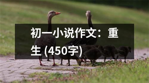 初一小說作文：重生 (450字)