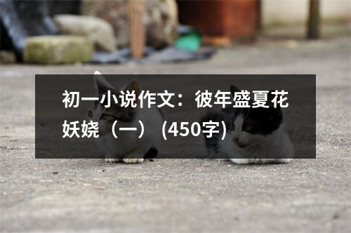 初一小說作文：彼年盛夏花妖嬈（一） (450字)