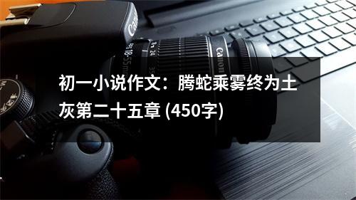 初一小說作文：騰蛇乘霧終為土灰第二十五章 (450字)