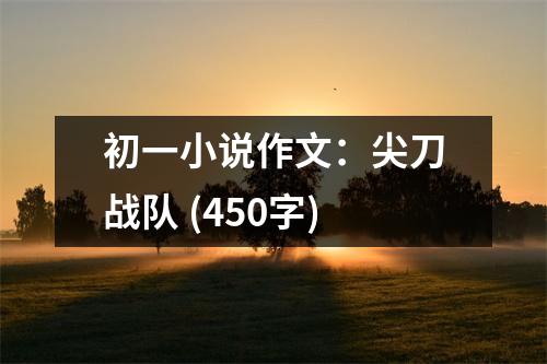 初一小說作文：尖刀戰(zhàn)隊(duì) (450字)