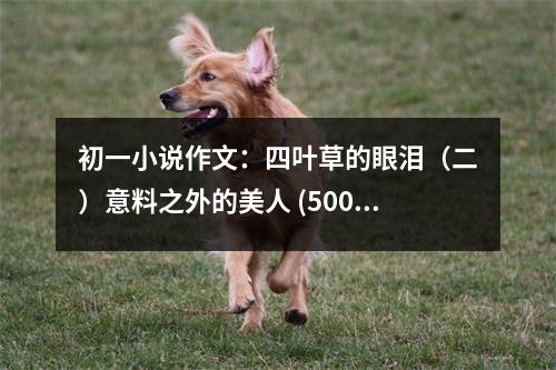 初一小說作文：四葉草的眼淚（二）意料之外的美人 (500字)