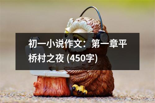 初一小說作文：第一章平橋村之夜 (450字)