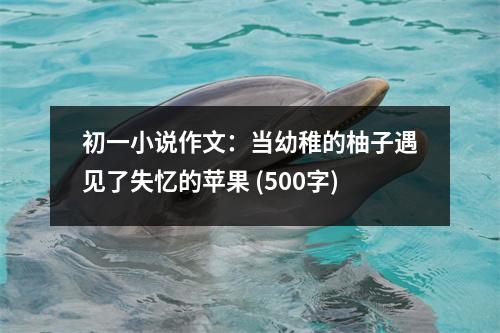 初一小說(shuō)作文：當(dāng)幼稚的柚子遇見(jiàn)了失憶的蘋(píng)果 (500字)