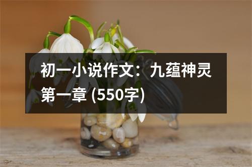 初一小說(shuō)作文：九蘊(yùn)神靈第一章 (550字)