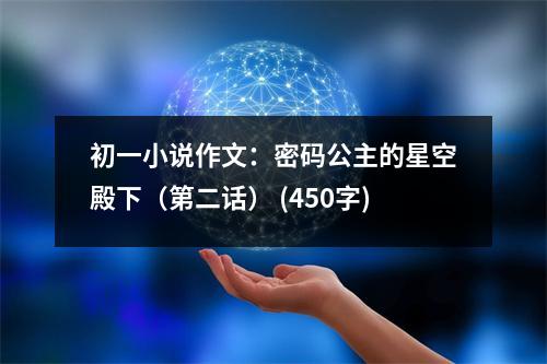 初一小說(shuō)作文：密碼公主的星空殿下（第二話） (450字)