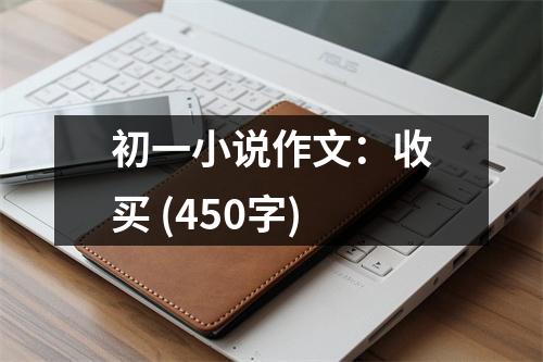 初一小說(shuō)作文：收買(mǎi) (450字)