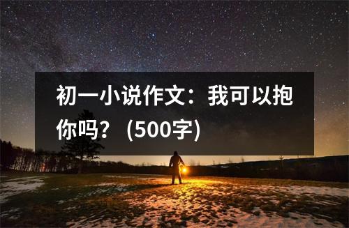 初一小說(shuō)作文：我可以抱你嗎？ (500字)