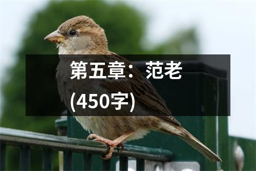第五章：范老 (450字)