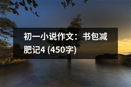 初一小說作文：書包減肥記4 (450字)