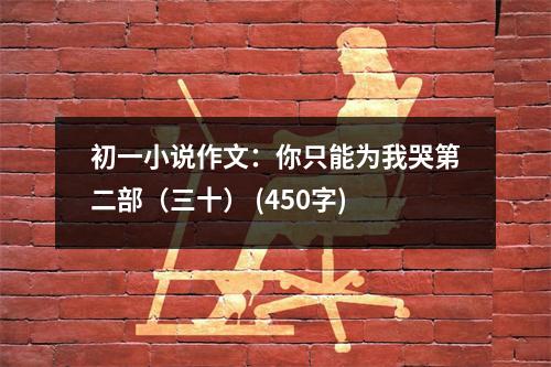 初一小說作文：你只能為我哭第二部（三十） (450字)