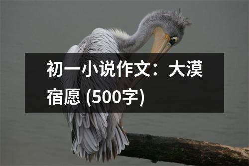 初一小說作文：大漠宿愿 (500字)